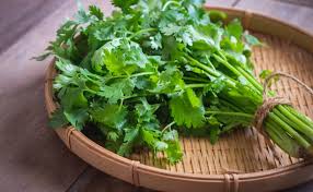 Coriander leaves (Hara Dhaniya)
